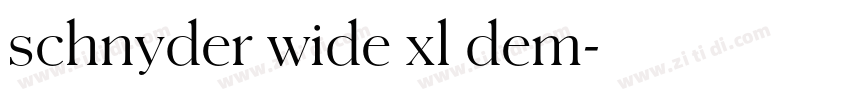 schnyder wide xl dem字体转换